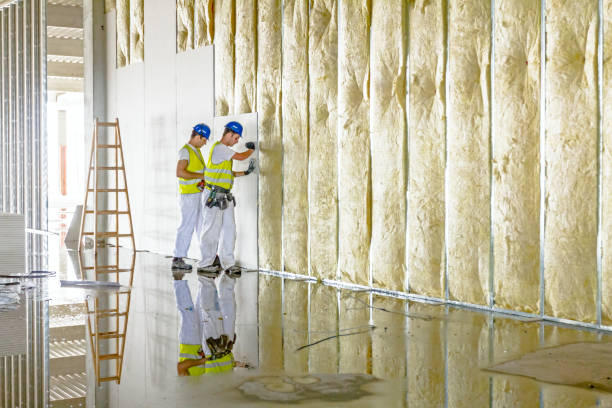Best Insulation for New Construction  in Tyrone, OK